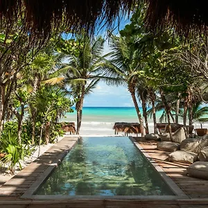 https://xela.allrivieramayahotels.com