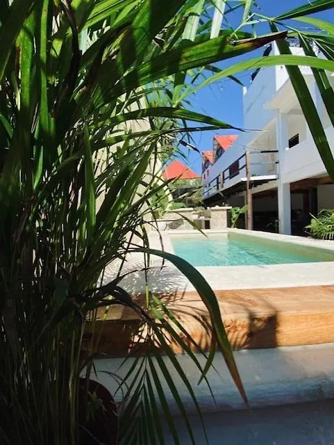 Casa Babel Hostel Tulum